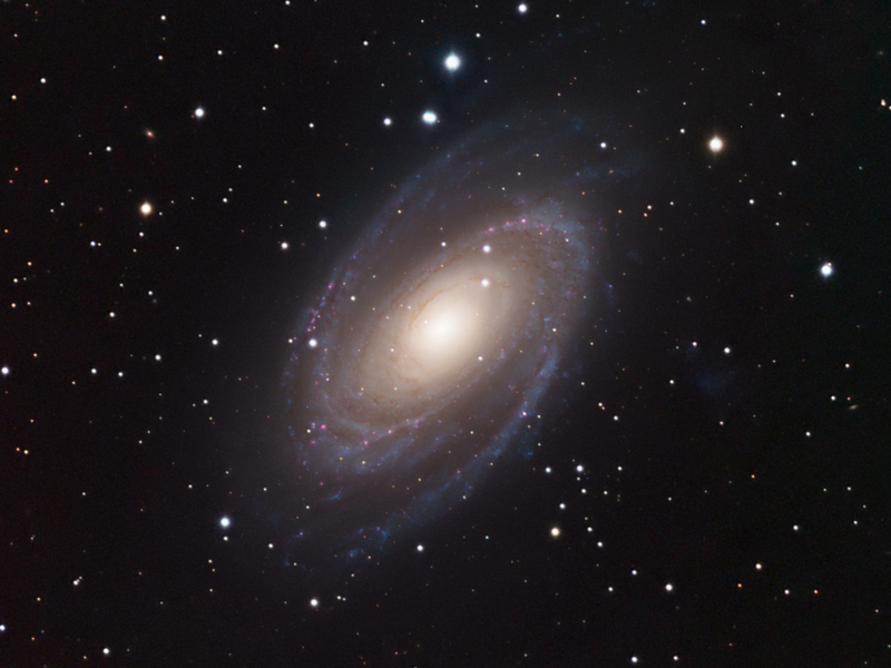 M81 - Bode