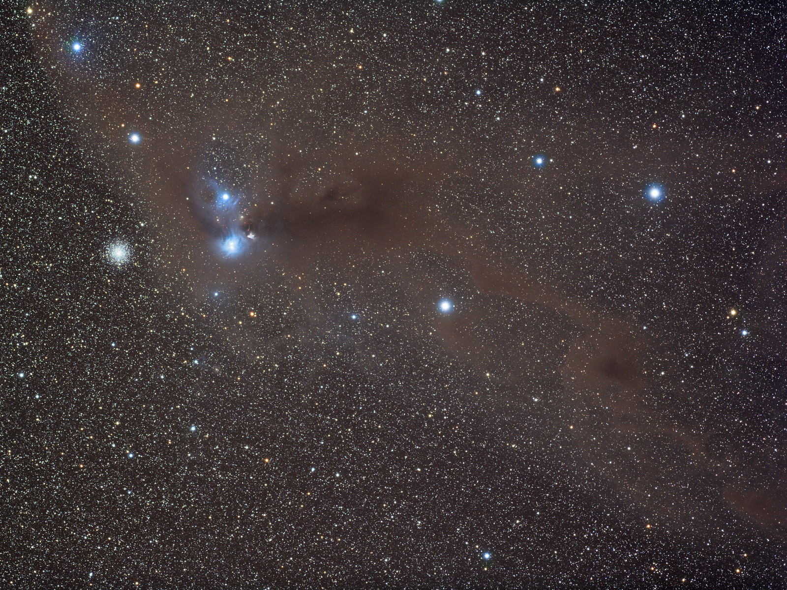 NGC6729 R CrA - Wide Field