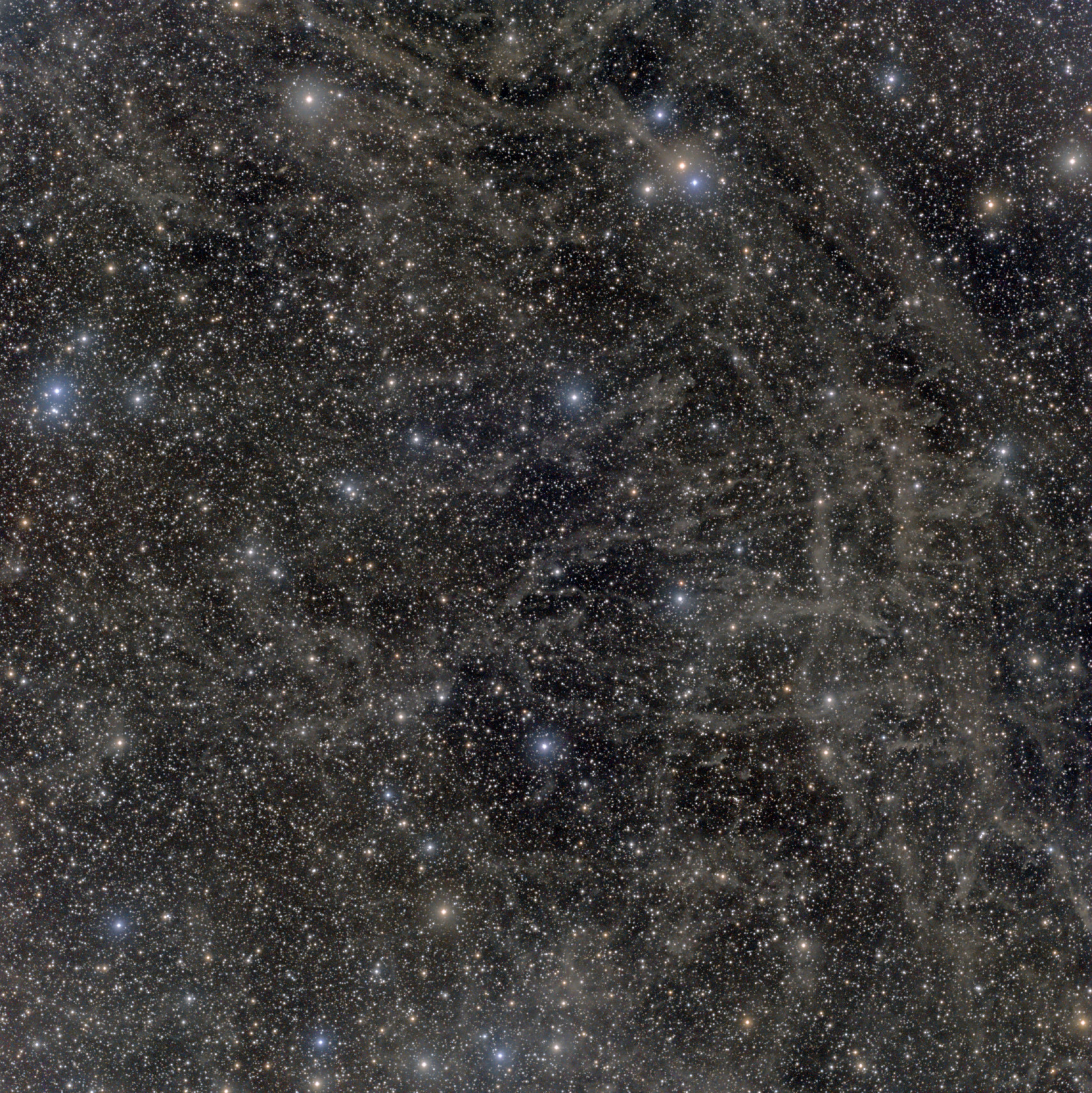 LBN117