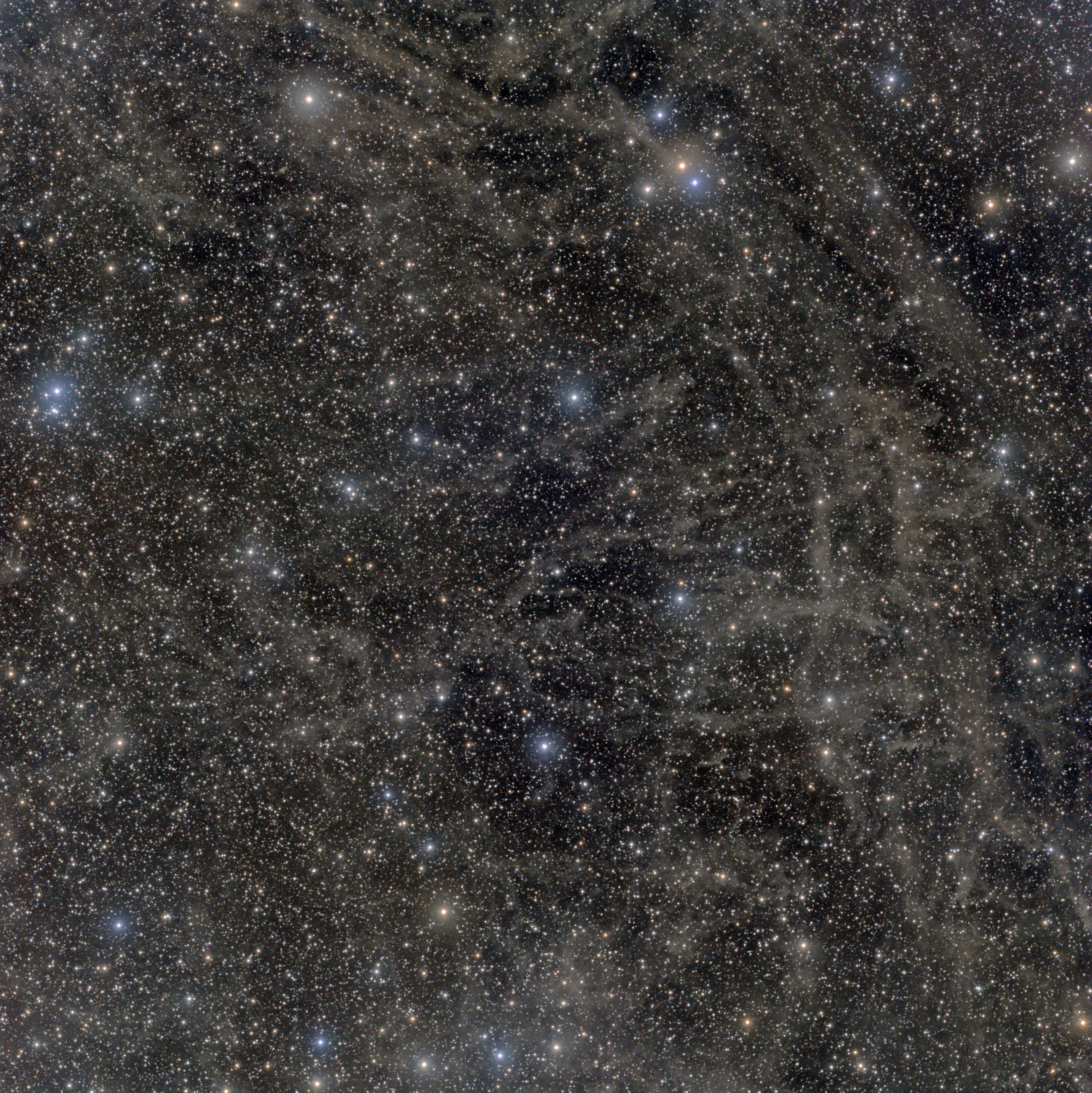LBN117